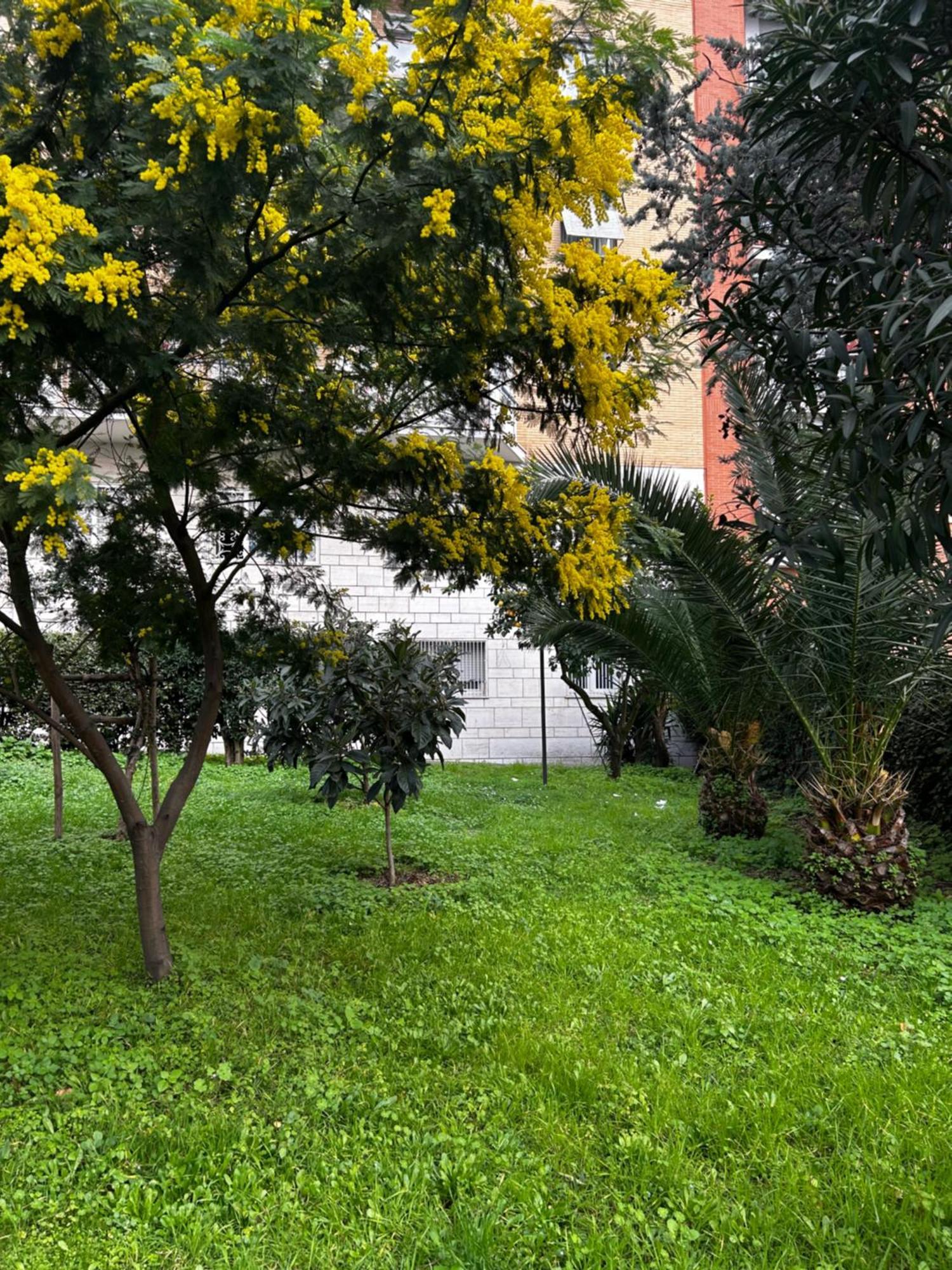 Bam Bam Tiburtina Guesthouse Rome Extérieur photo